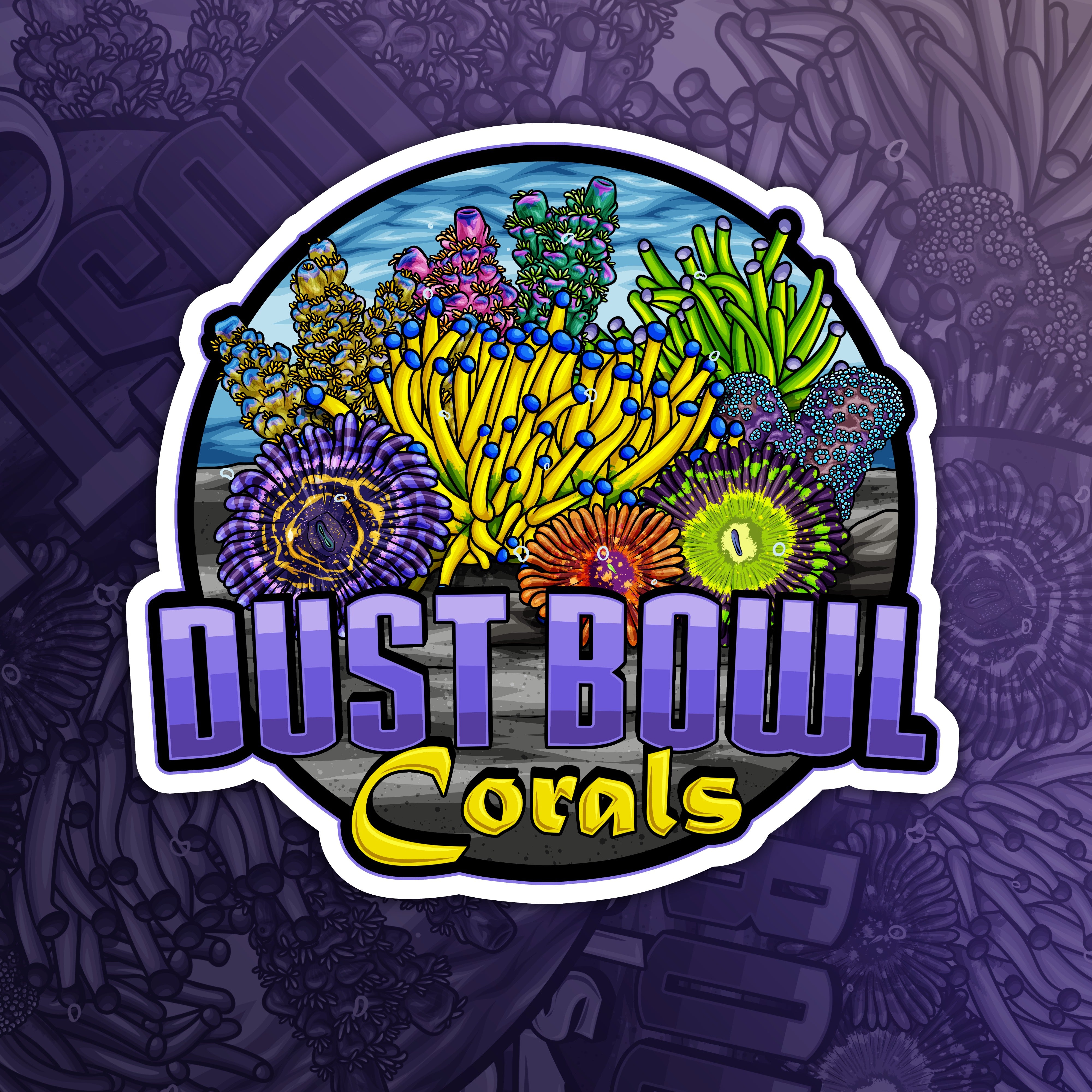LPS Corals – Dust Bowl Corals