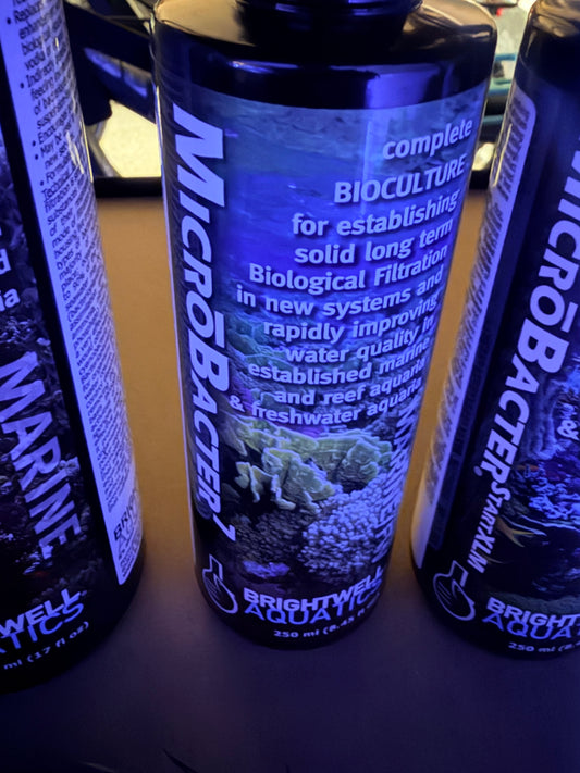 Brightwell Aquatics MicroBacter7 250 mL