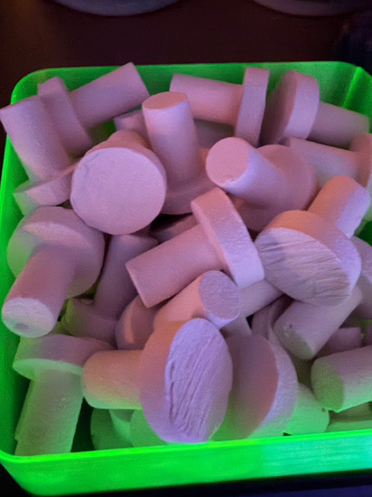 Coral plugs