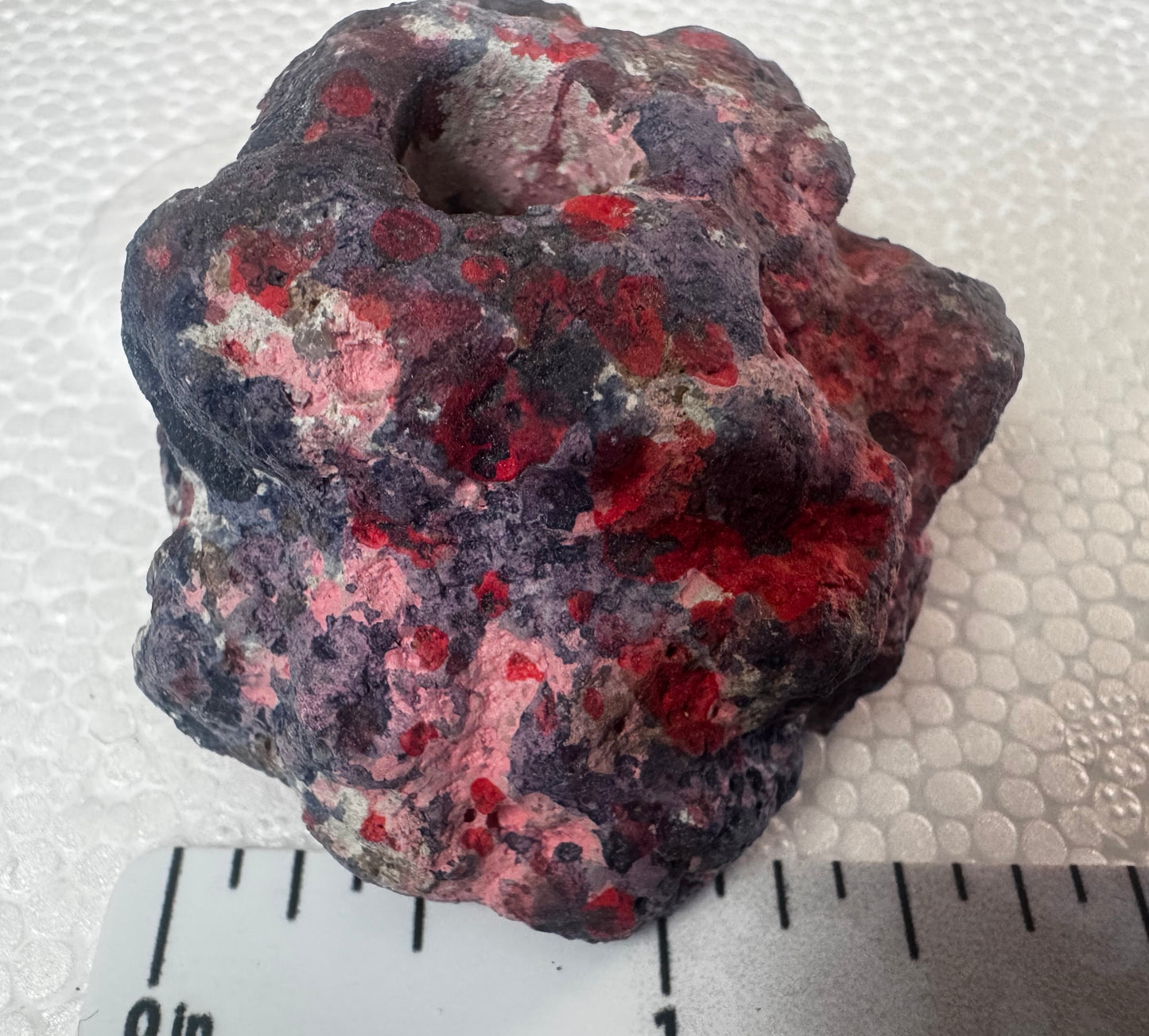 EcoRock Frag plug holders