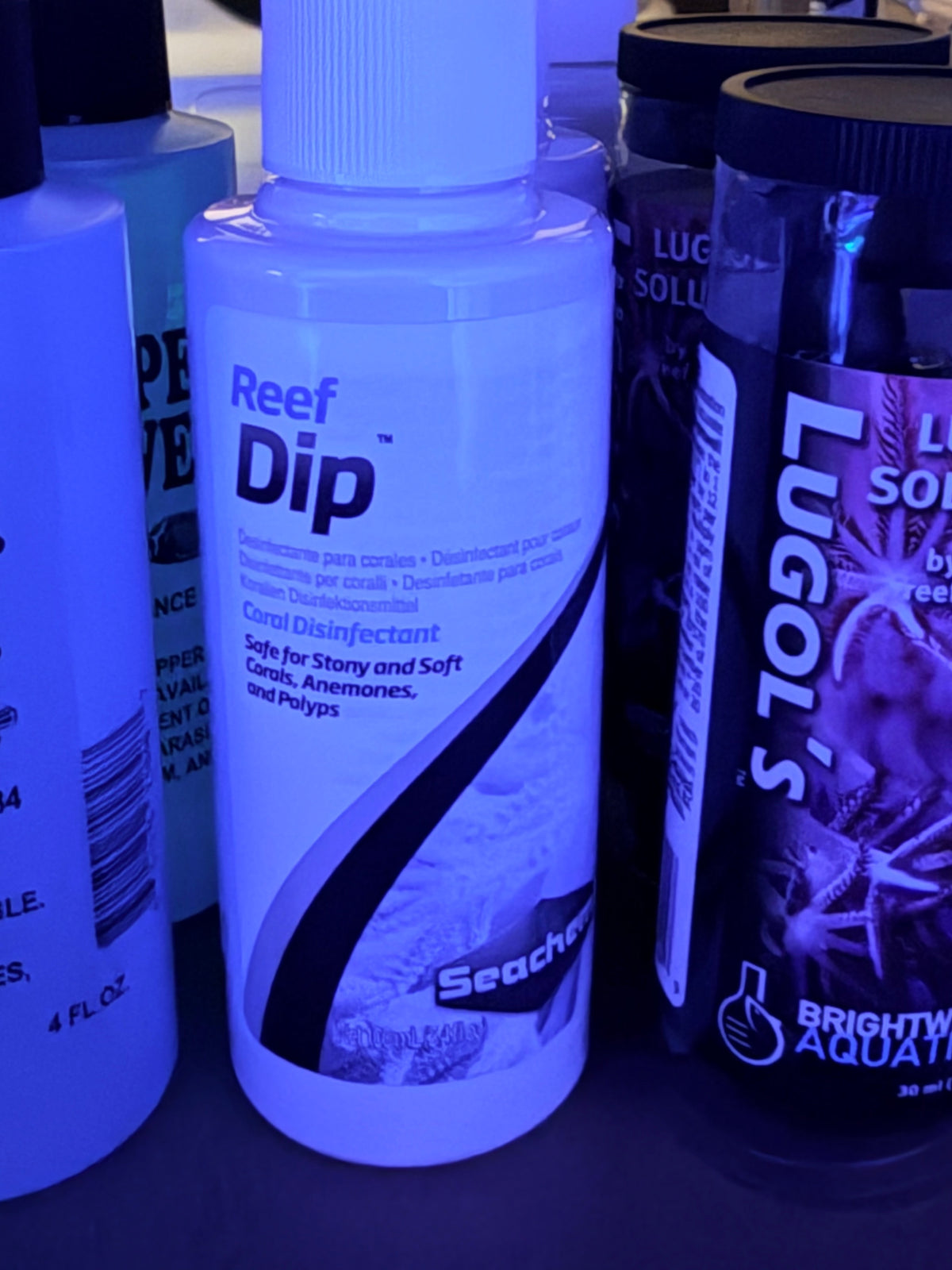Seachem Reef Dip 100 mL