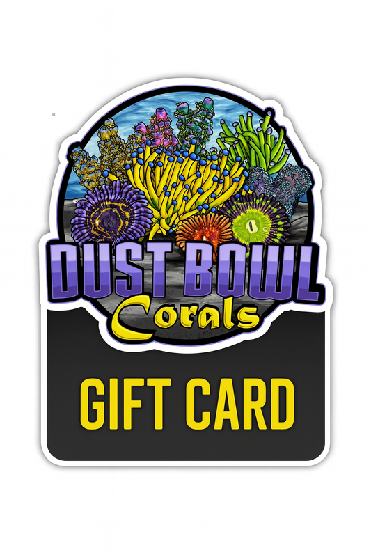 Dust Bowl Corals Gift Card