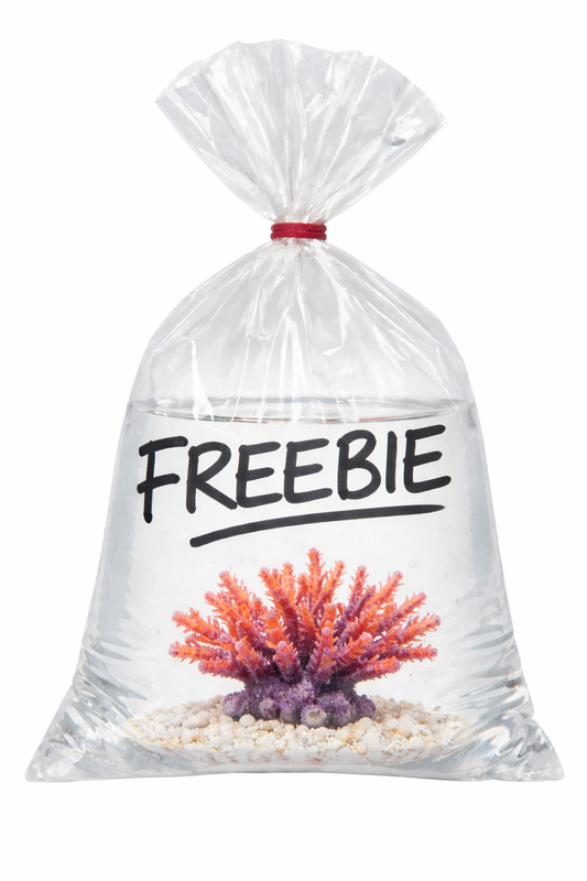 Freebie written on bag or custom receipt