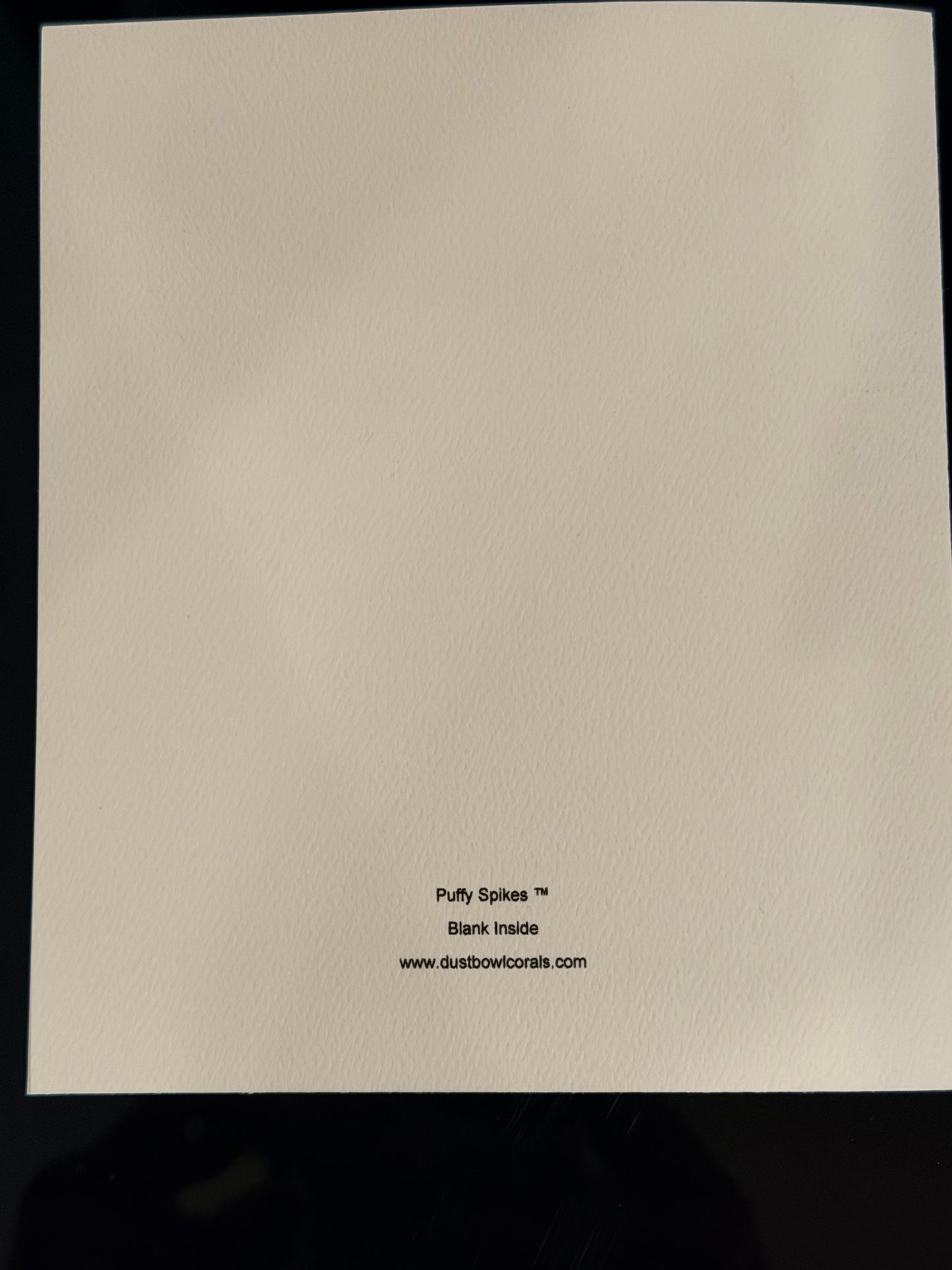 Stationary Card - blank inside