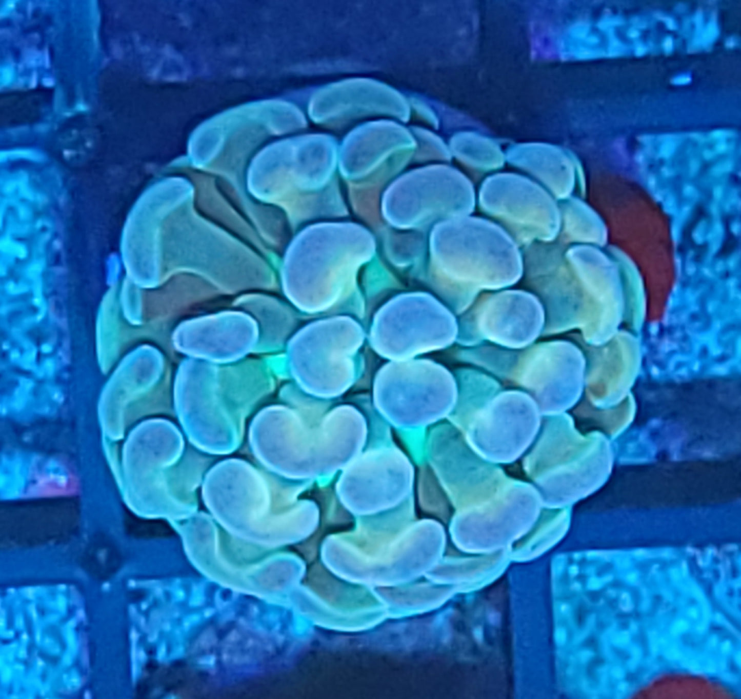 Hologram hammer